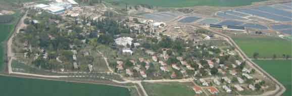 Nir tzvi